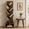 American Furnish premium wooden book shelf with modern storage design for living room and study room furniture in India