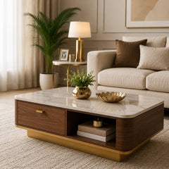 American Furnish modern wooden coffee table for living room with stylish design and storage solution in India