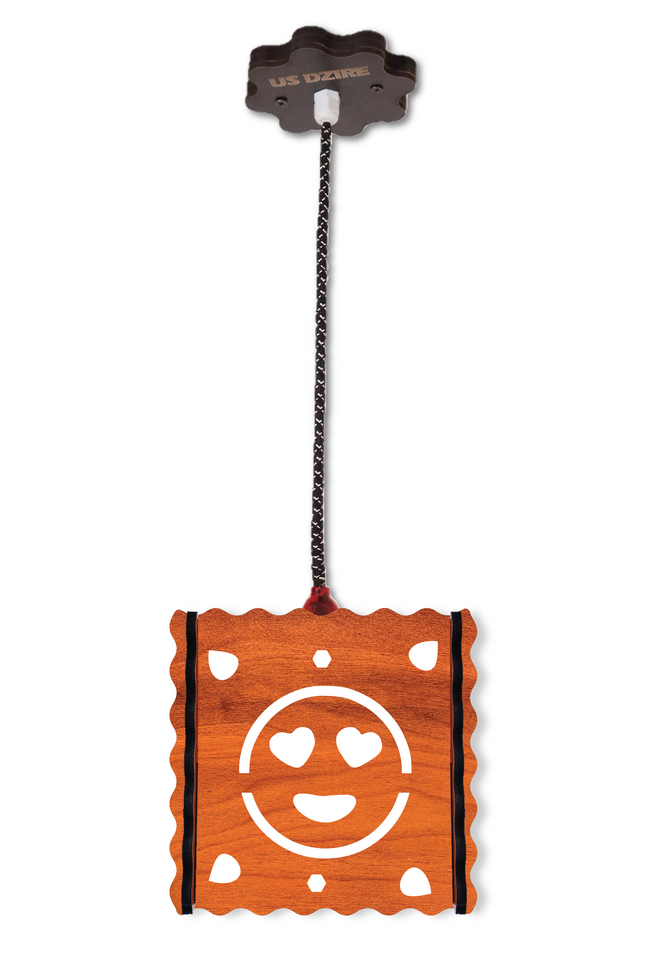US DZIRE™ 586 Pendants Ceiling Lamp  (Brown)